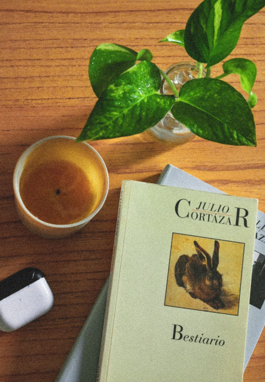 Club de lectura: Latinoamérica, una Literatura&nbsp;Fantástica